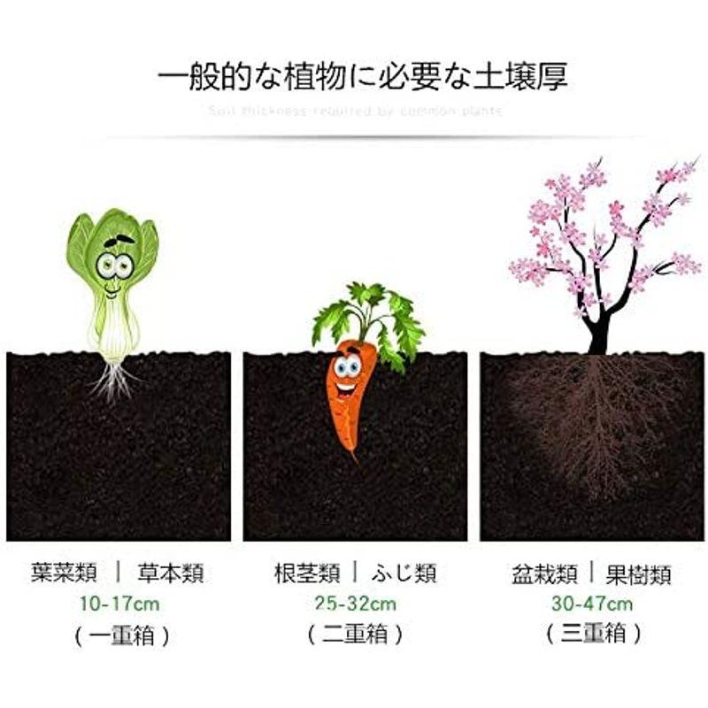 Aeon hum 組立式ガーデンボックス プランターボックス プラスチック 園芸 鉢植え入れ 花、植物、野菜栽培 自由組立 滑車付け ブラウ hum 組立式ガーデンボックス プランターボックス プラスチック 園芸 鉢植え入れ 花 植物 野菜栽培 自由組立 滑車付け ブラウ