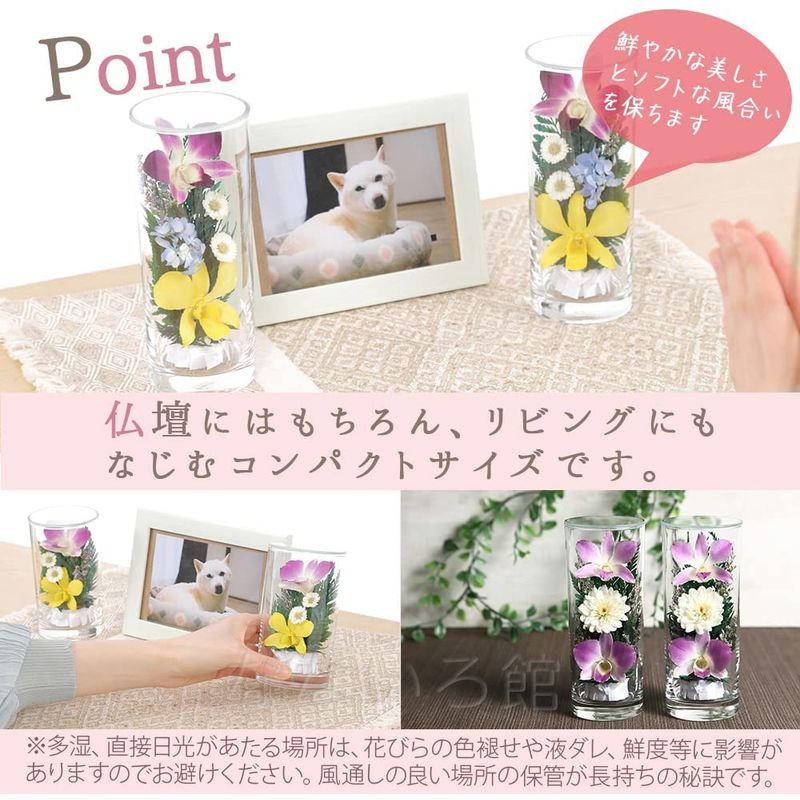 （なないろ館）お供え 花 グラスフラワー 2本セット 仏花 仏壇 枯れない 手元供養 お悔やみ お盆 お彼岸 お墓参り 喪中見舞い ペット なないろ館 お供え 花 グラスフラワー 2本セット 仏花 仏壇 枯れない 手元供養 お悔やみ お盆 お彼岸 お墓参り 喪中見舞い ペット 　 サイズ