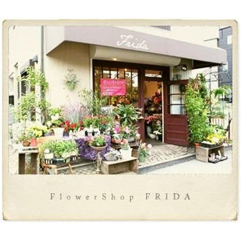 パリスタイルの花屋シンピジュームのお供えアレンジ お供え 法事花 お悔やみ 四十九日 一周忌 三回忌 七回忌 お供え 法事花 お悔やみ 四十九日 一周忌 三回忌 七回忌 注意 サイズ