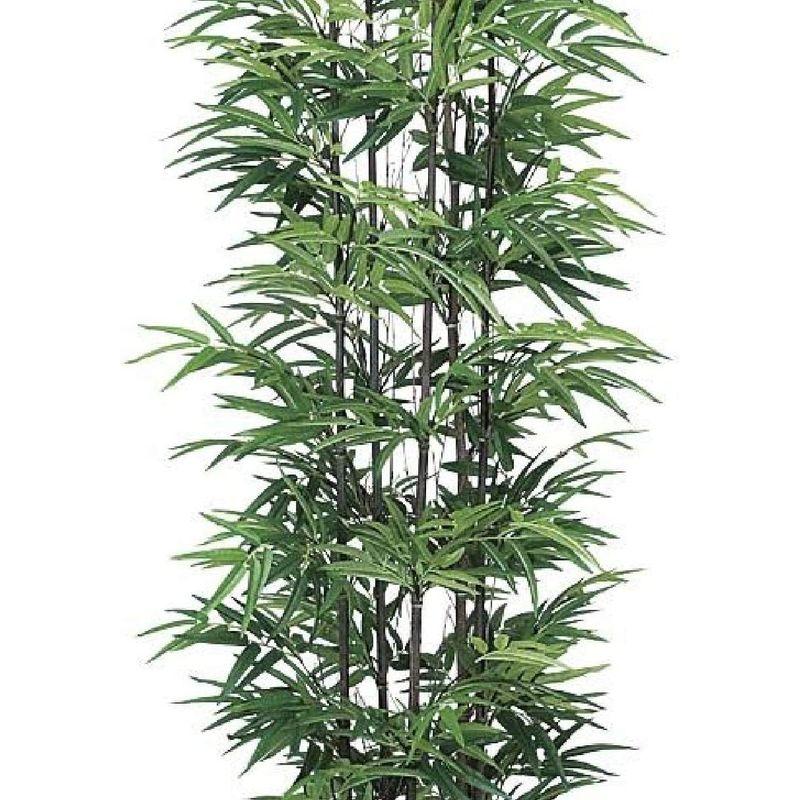 ⭐️完成品⭐️ 人工観葉植物 光の楽園 黒竹 1.8m 【TMF9200120165】(32844円)