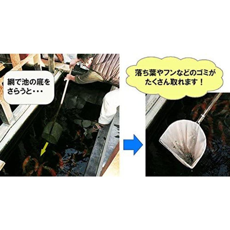 超特盛ミラクルプライス 池底掃除用網（フン取り網) フ-11 径330 深さ350 柄長1500 二重扇羽枠 【U2360941191】(12868円)