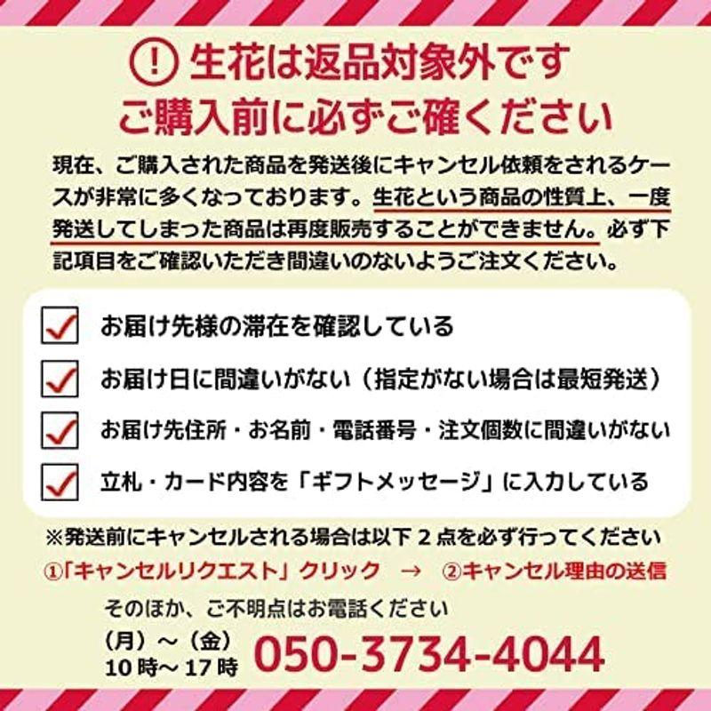 【新入荷】 ふじみ野ラン園 お祝いにもお供えにも使える 生花 大輪胡蝶蘭5本立ち (白/ロング木札付き) お盆 お供え 帰省土産 就任祝い 移転祝い 開 【JSB1094800429】(39084円)