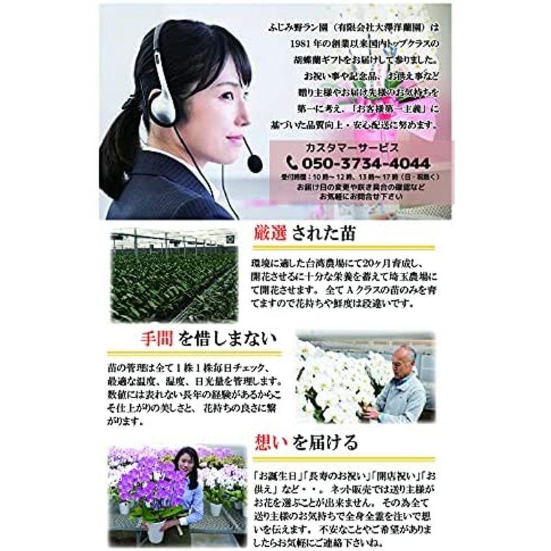 【新入荷】 ふじみ野ラン園 お祝いにもお供えにも使える 生花 大輪胡蝶蘭5本立ち (白/ロング木札付き) お盆 お供え 帰省土産 就任祝い 移転祝い 開 【JSB1094800429】(39084円)