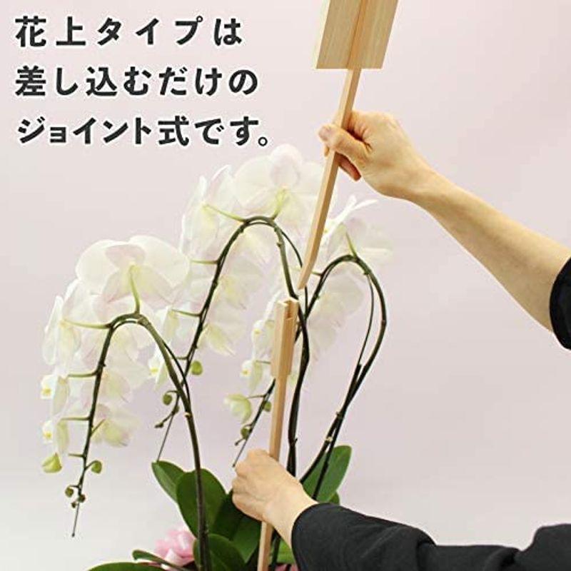 【新入荷】 ふじみ野ラン園 お祝いにもお供えにも使える 生花 大輪胡蝶蘭5本立ち (白/ロング木札付き) お盆 お供え 帰省土産 就任祝い 移転祝い 開 【JSB1094800429】(39084円)