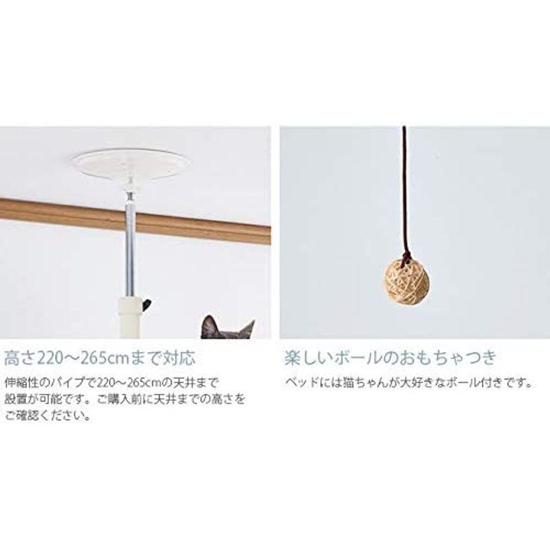 ⭐公式品⭐ ボンビアルコン (Bonbi) キャットポールクリアハンガー 【2718766873】(14819円)