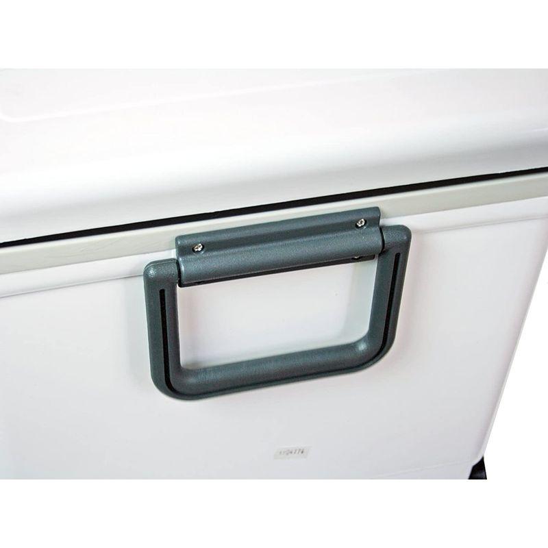 伸和(SHINWA) ホリデーランドクーラー48H 48H ホワイト SHINWA ホリデーランドクーラー48H 48H ホワイト