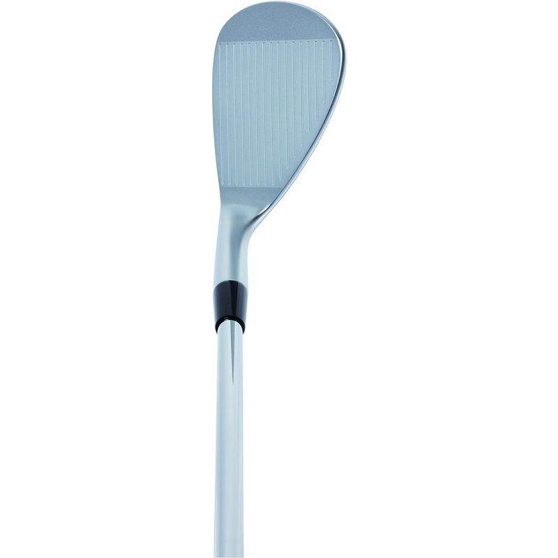 【公式】 キャスコ(Kasco) ロブ ドルフィンウェッジ ストレートネックタイプ DW-118 Dolphin DP-151 レディス カーボン レ 【2284768141】(12454円)