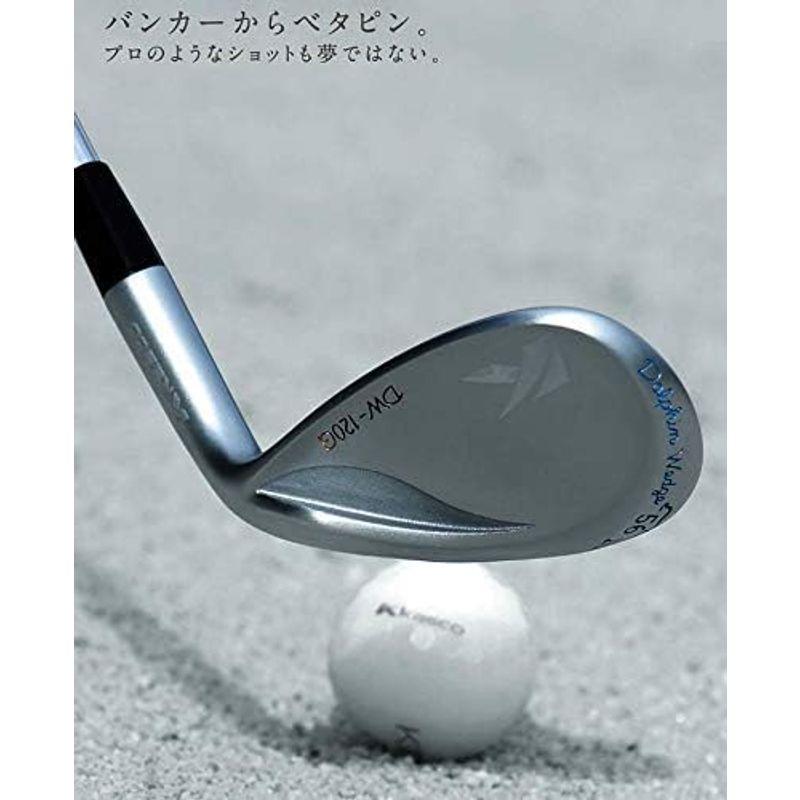 キャスコ(Kasco) ドルフィンウェッジ セミグースネックタイプ メンズ DW-120G Kasco ドルフィンウェッジ セミグースネックタイプ メンズ DW 120G 1度