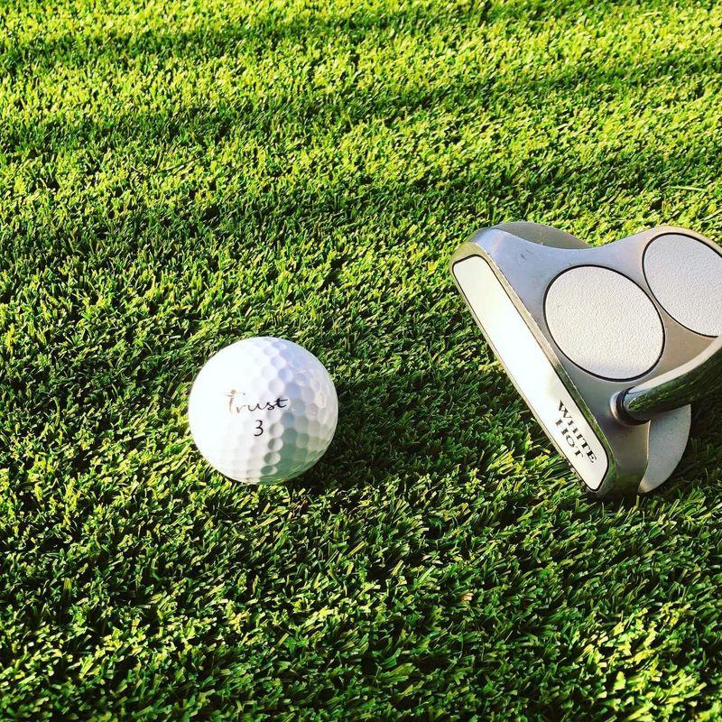 TrustトラストゴルフボールBison-Vウレタンカバー 3ピースリアクティブコア(ツアー系) ヘッドスピード42~47m/s Bison ／ Vウレタンカバー 3ピースリアクティブコア ツアー系 ヘッドスピード42 47m/s Bison