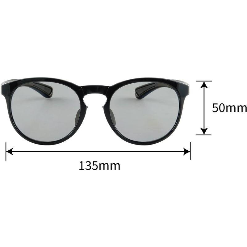 SWANS (スワンズ) 日本製 サングラス ER イーアール AMZ-ER5-0053 BK ブラック / 偏光ライトスモーク ラウンド 日本製 スワンズ サングラス ER イーアール AMZ ER5 BK ブラック 偏光ライトスモーク ラウンド