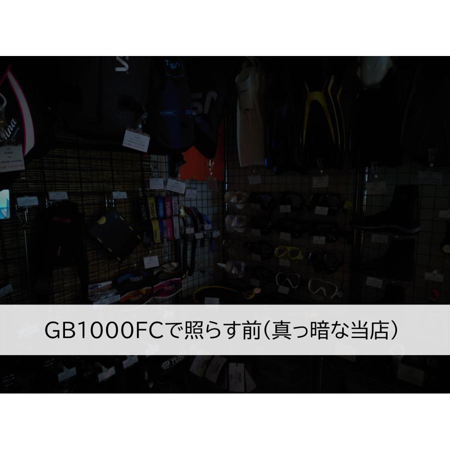 Tabata LIGHT&MOTION GoBe1000 GB1000FC 小型ハイパワー 1000lm Tabata LIGHT&MOTION GoBe1000 GB1000FC 小型ハイパワー 1000lm
