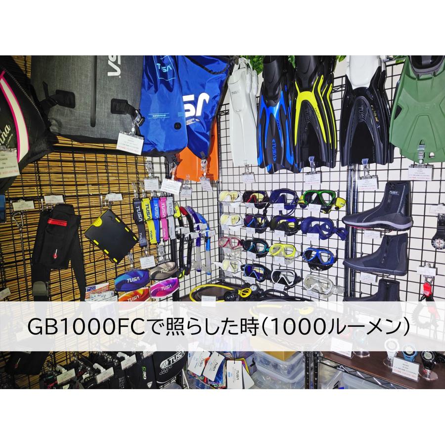 Tabata LIGHT&MOTION GoBe1000 GB1000FC 小型ハイパワー 1000lm Tabata LIGHT&MOTION GoBe1000 GB1000FC 小型ハイパワー 1000lm
