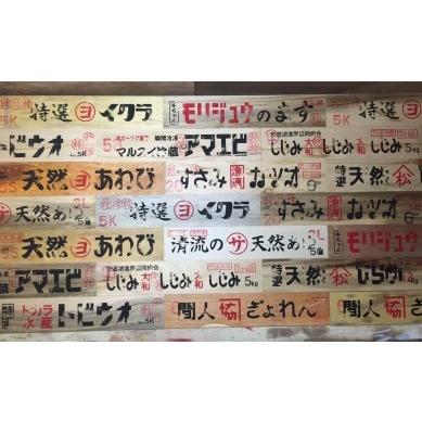 トロ箱プレート（600サイズ） 新シリーズ 漁港 漁師 : マリンガイド