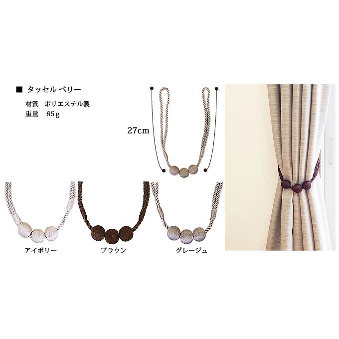 タチカワブラインド カーテンレール ファンティア トップカバーセット