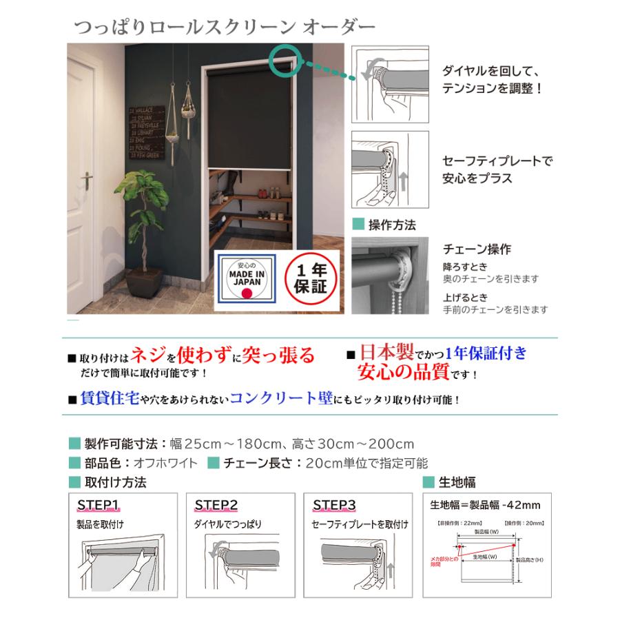 突っ張りタイプロールスクリーンオーダー (ビス不要・取付時工具不要) (幅41〜60ｃｍ×高さ30〜90cm）１年保証付・日本製【代引不可】_1