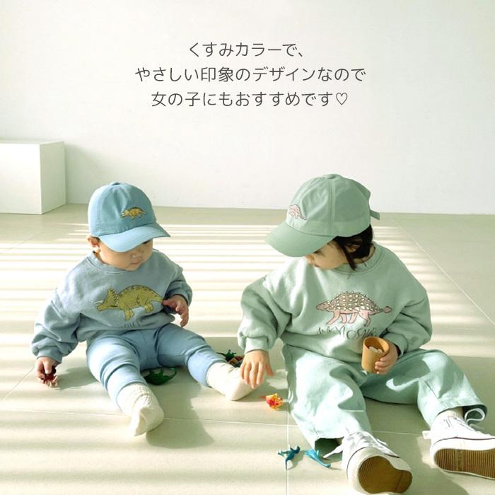 トレーナー 恐竜 ダイナソー かすれプリント ユーズド加工 Kids キッズ ファッション 保育園着 くすみカラー ゆったり シルエット リンクコーデ 兄弟コーデ 90 014 マリンキャッスル キッズ服 ベビー 通販 Yahoo ショッピング