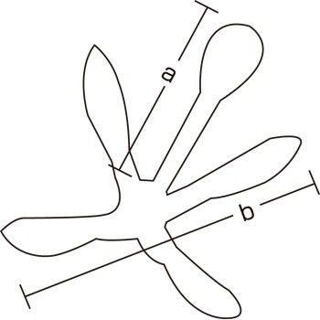フォールディングアンカー　4.0kg｜marinedays2｜02