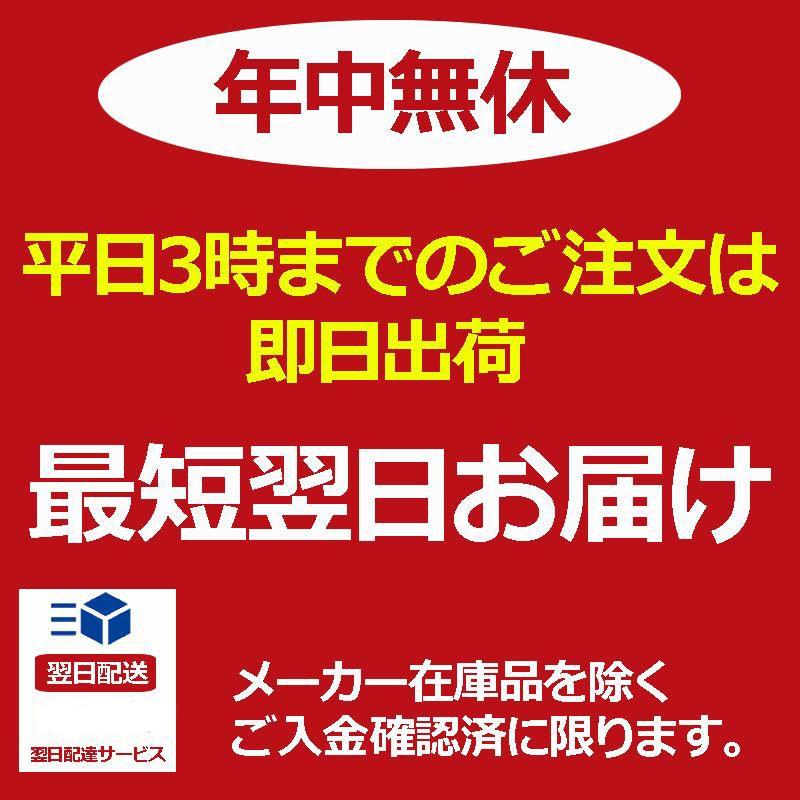 ライズセカンドシーズン RISE 2nd season ロングボードDVD ロケーション 北海道 千葉 福島 茨城 湘南 伊良湖 静岡 伊勢 和歌山 高知 徳島｜mariner｜06