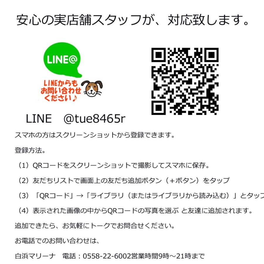 スタンドアップパドルボード Bic Sup Ace Tec Performer 11 6 ビック サップ 101249 19ss Bic Suppf116 白浜マリーナ Yahoo 店 通販 Yahoo ショッピング