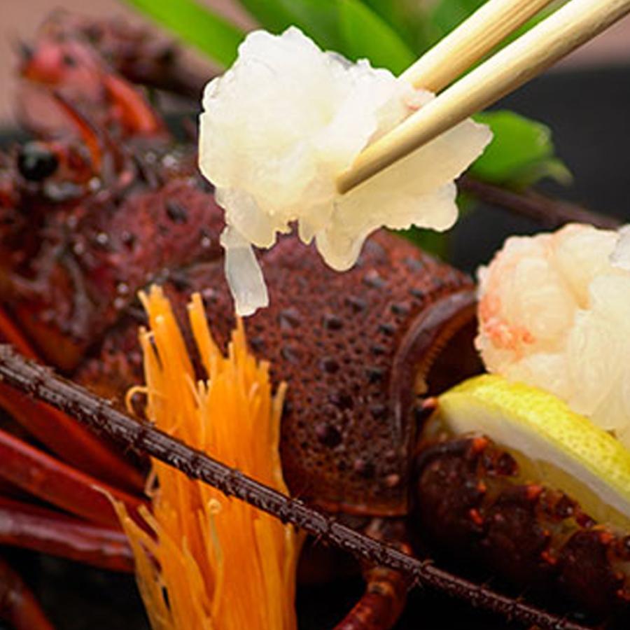 活き 伊勢海老 2kg サイズお任せ 伊豆 下田 生きたまま 刺身 伊勢エビ イセエビ 