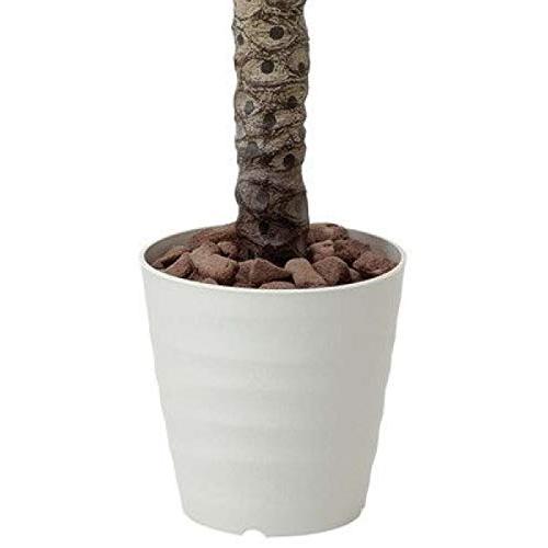 生き生きとした緑がお手入れ不要で一年中楽しめますセローム 高さ130cm光触媒・人工観葉植物 ×