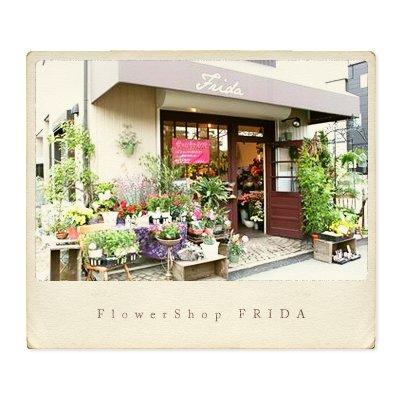 パリスタイルの花屋シンピジュームのお供えアレンジ お供え 法事花 お悔やみ 四十九日 一周忌 三回忌 七回忌 