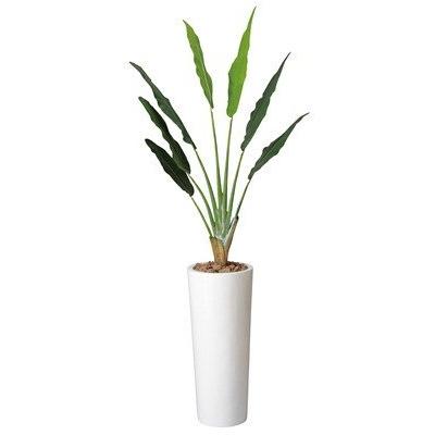 即発送可能 光触媒観葉植物 アートトラベラーズパーム2 1 117a700 売り切れ必至 Www Technet 21 Org