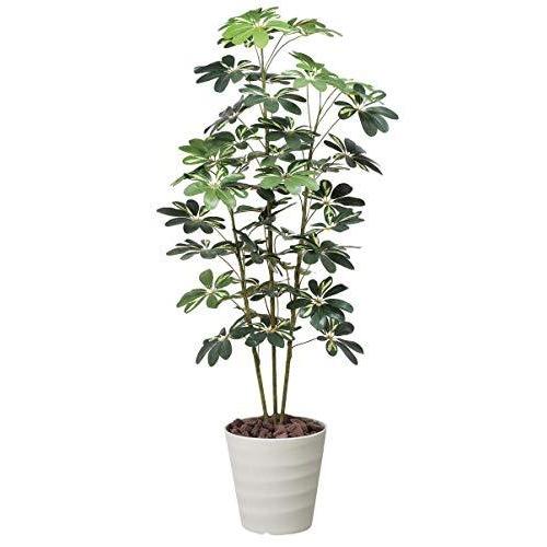 訳ありセール格安 アートグリーン 人工観葉植物 光触媒 光の楽園 カポック斑入り1 5 工場直送 M Mahdi Net