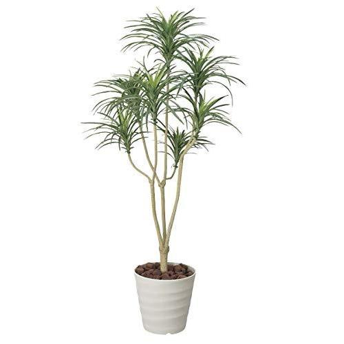 激安の 光触媒観葉植物 ユッカ 1 6 フロアタイプ ハイサイズ 風景専門店のあゆわら 全品送料無料 Makemoneyonline Spiderinfo Com Ng