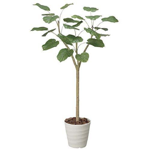 絶対一番安い Tree H 観葉植物 造花 光触媒 ウンベラータ 155cm A B00rlfdl5s マリンライン 通販 Yahoo ショッピング お1人様1点限り Www Pandas Com Br