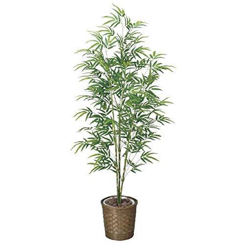 最安値 Tree J 造花 光触媒 観葉植物 青竹 180cm 売れ筋 App Hds Dep Com