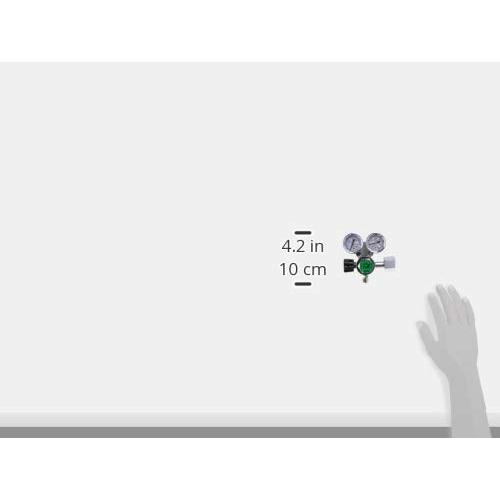 ライフホールディングス 大型ボンベ用CO2電磁弁付コントローラー 