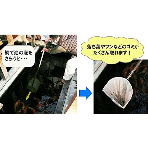 高評価続出！ 池底掃除用網（フン取り網) フ-11 径330 深さ350 柄長1500 二重扇羽枠 【3145730390】(17149円)