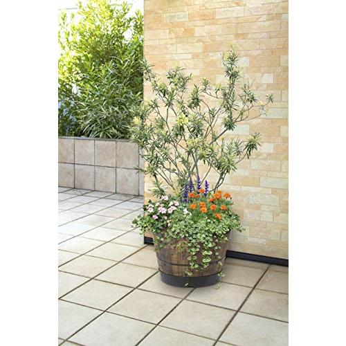 タカショー ウッドバレルプランター 550 約W55×D55×H41cm 