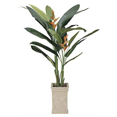 国内配送 光触媒 光の楽園 インテリアグリーン 人工観葉植物 ヘリコニア 2 0m A B01fq3rf3a マリンライン 通販 Yahoo ショッピング 史上最も激安 Ark Inc In