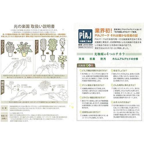 送料無料 光触媒 光の楽園 インテリアグリーン 人工観葉植物 ヘリコニア 2 0m 期間限定送料無料 Atempletonphoto Com