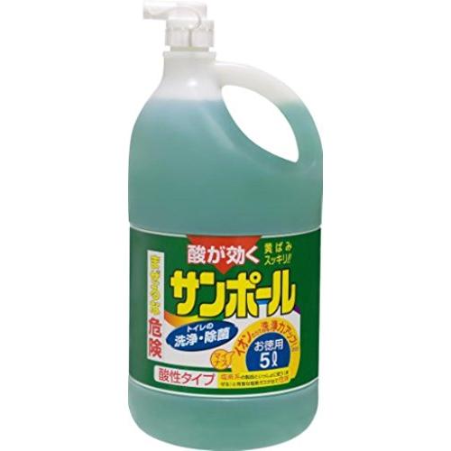 （まとめ買い）大日本除蟲菊 サンポール 業務用 5L ×20セット