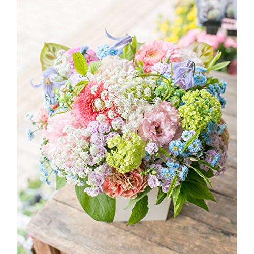 アレンジメントフラワー 生花 ギフト LLサイズ イメージ(可愛い)大臣賞受賞デザイナー おまかせアレンジメント 