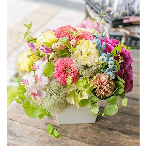 アレンジメントフラワー 生花 ギフト LLサイズ イメージ(可愛い)大臣賞受賞デザイナー おまかせアレンジメント 