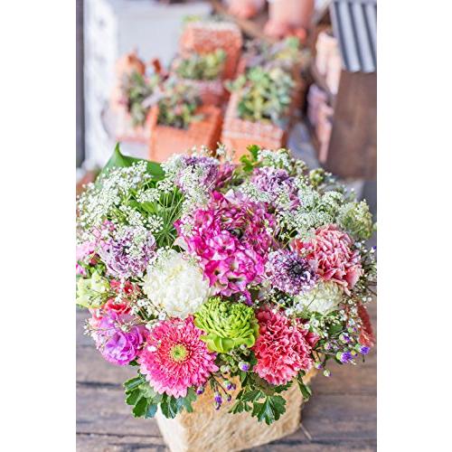 アレンジメントフラワー 生花 ギフト LLサイズ イメージ(可愛い)大臣賞受賞デザイナー おまかせアレンジメント 