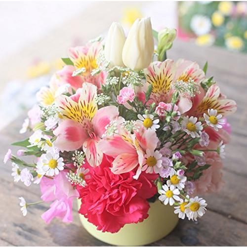 【最安値挑戦中】 アレンジメントフラワー 生花 ギフト 3Lサイズ イメージ(可愛い)大臣賞受賞デザイナー おまかせアレンジメント 【2469567046】(13463円)