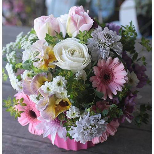 【最安値挑戦中】 アレンジメントフラワー 生花 ギフト 3Lサイズ イメージ(可愛い)大臣賞受賞デザイナー おまかせアレンジメント 【2469567046】(13463円)