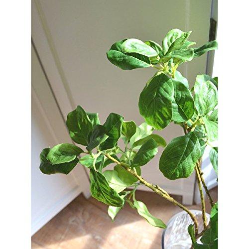 匿名！送料無料！ GREENPARK マグノリアリーフ ガラスシリンダー H35 白玉石 造花 フェイクグリーン 【H2058124009】(11220円)