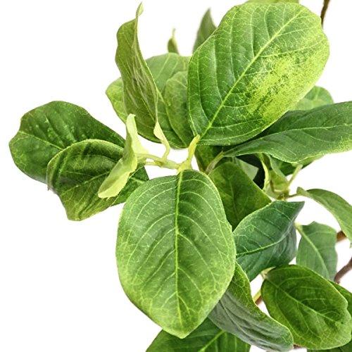 匿名！送料無料！ GREENPARK マグノリアリーフ ガラスシリンダー H35 白玉石 造花 フェイクグリーン 【H2058124009】(11220円)