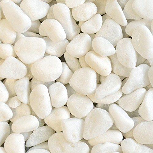 匿名！送料無料！ GREENPARK マグノリアリーフ ガラスシリンダー H35 白玉石 造花 フェイクグリーン 【H2058124009】(11220円)