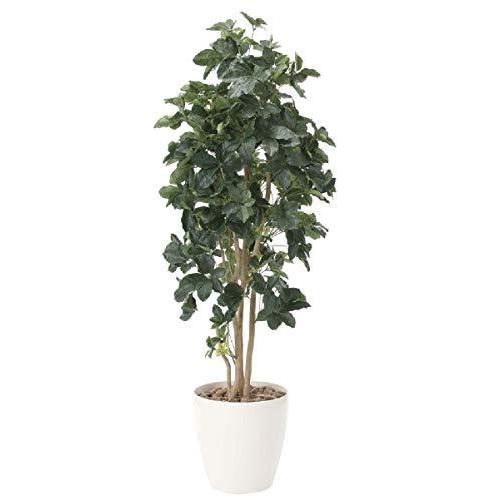 人気特価激安 光触媒 光の楽園 人工観葉植物 シェフレラ1 8 A B079nprkz3 マリンライン 通販 Yahoo ショッピング 国内配送 Jeannesauve Org