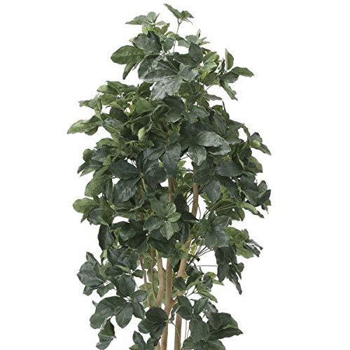 人気特価激安 光触媒 光の楽園 人工観葉植物 シェフレラ1 8 A B079nprkz3 マリンライン 通販 Yahoo ショッピング 国内配送 Jeannesauve Org
