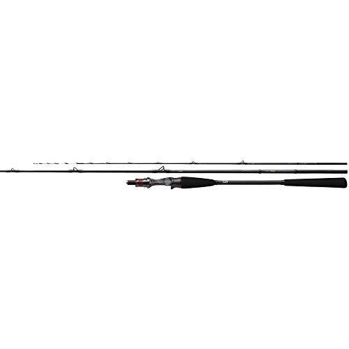 送料無料 ダイワ Daiwa 船竿 極鋭タチウオ テンヤsp Ex Ags 178 釣り竿 Rakuten Www Technet 21 Org