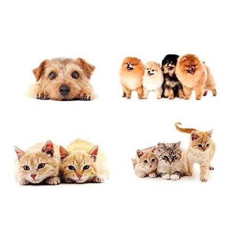 有田焼 伯父山窯 ペット用骨壺 花吹雪 メモリアルポット ５寸(内径11.8cm) メモリアルポット ガーベラポット