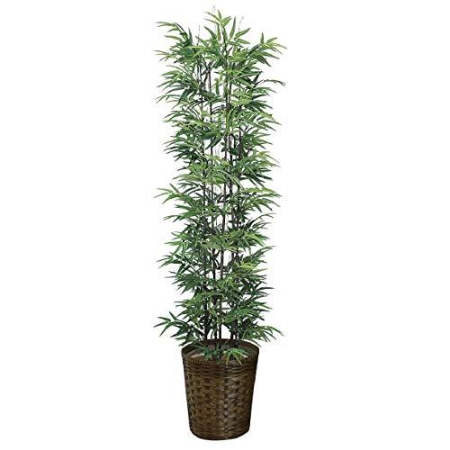 【新品 未使用 日本製】 人工観葉植物 光の楽園 黒竹 1.8m 【XUR9019487562】(32200円)